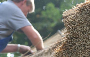 professional Light Oaks thatchers