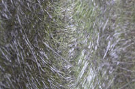 Light Oaks fibreglass roof work